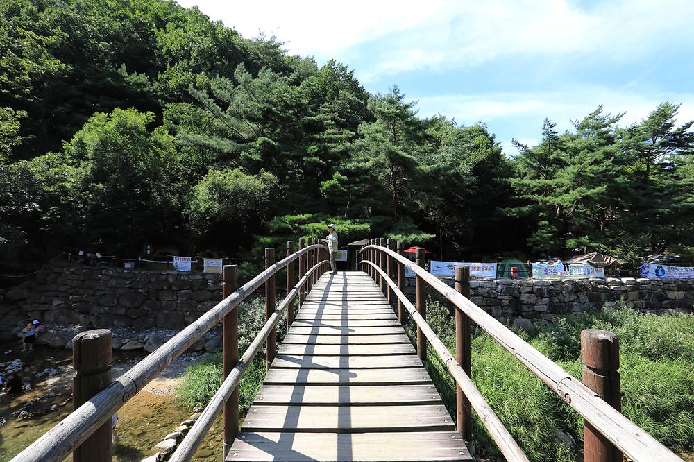 충청북도 제천시 월악산국립공원 덕주야영장 소개