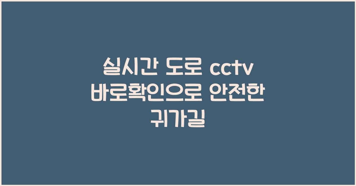 실시간 도로 cctv 바로확인