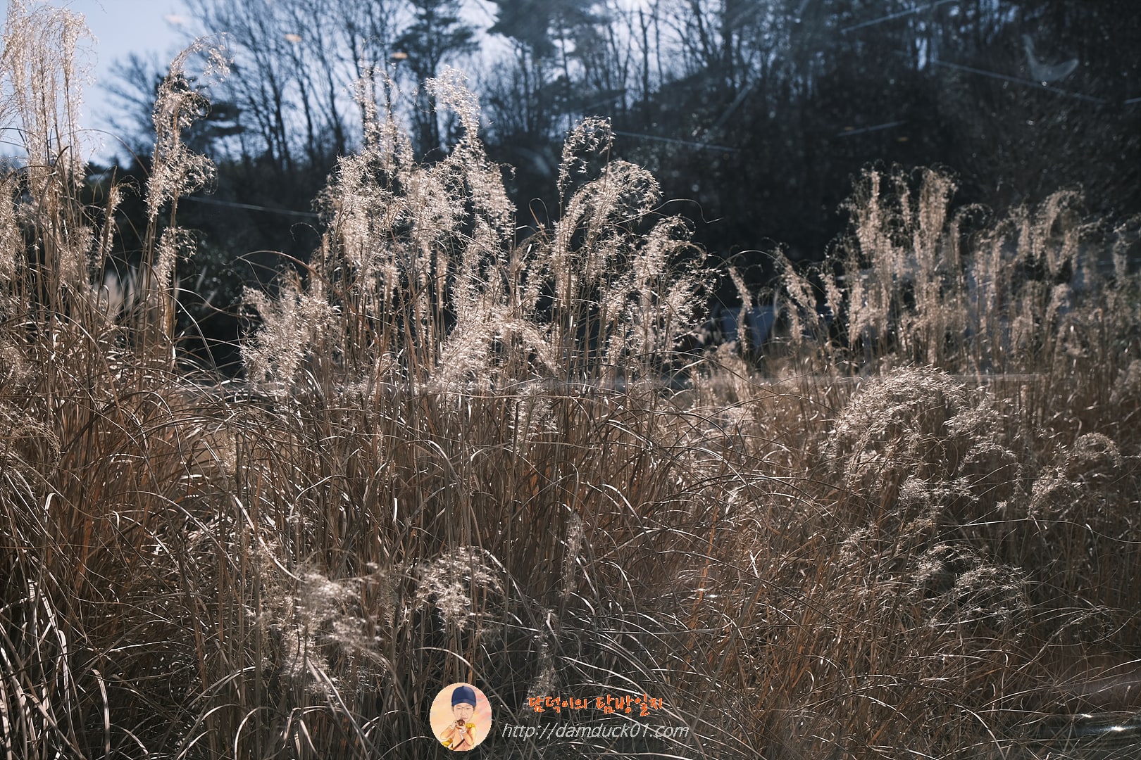 온석커피 앤 온석식당