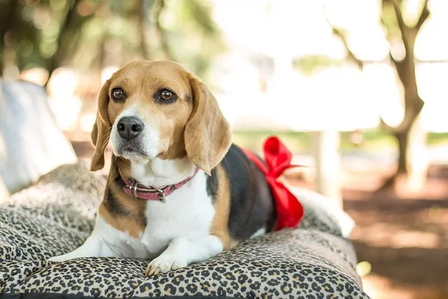 충만 무명이어도 F G Ab A 악보 Intro 인트로 가사로 연습용_9