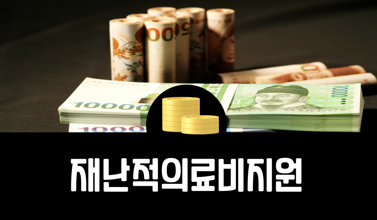 재난적의료비지원