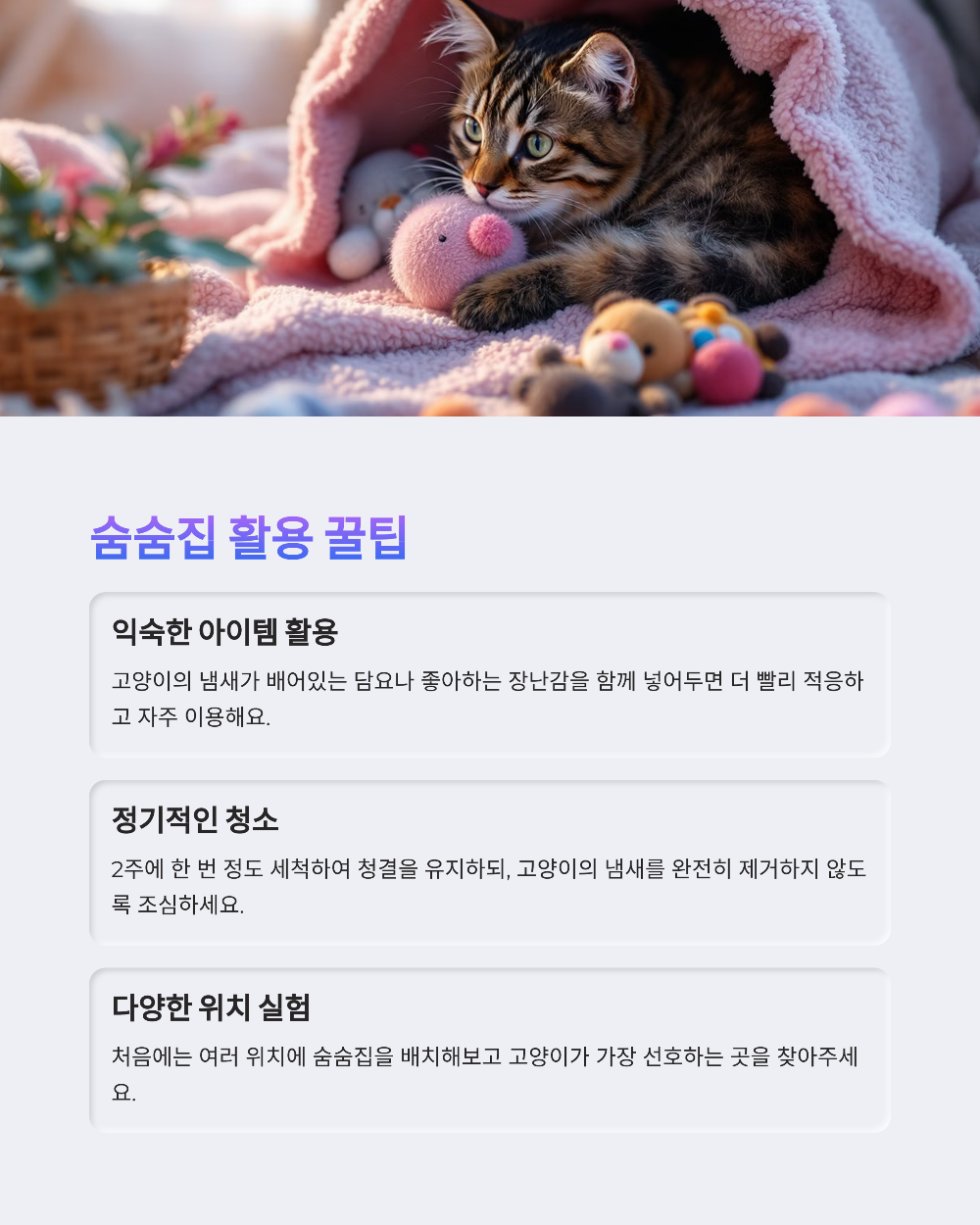 고양이숨숨집이 고양이 스트레스를 없애주는 진짜 이유