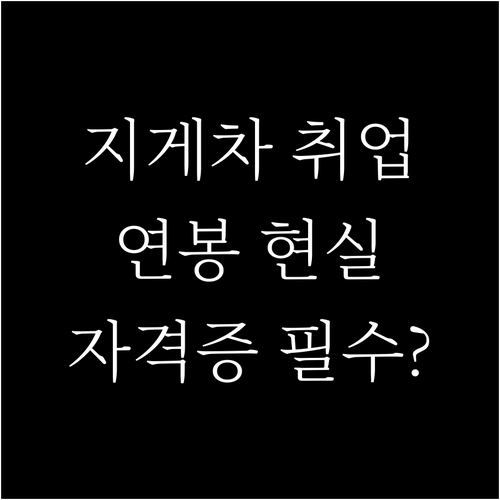 물류 핵심, 지게차 운전직 파헤치기:..