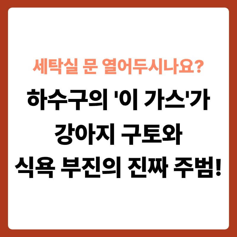 세탁기와 배수구가 있는 다용도실 바닥 한구석에 힘없이 엎드려 있는 강아지의 모습 옆으로, 하수구 내부와 대기층 가스 밀도가 투명한 3D 과학 그래픽으로 확대된 단면