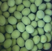 개복숭아효소 효능