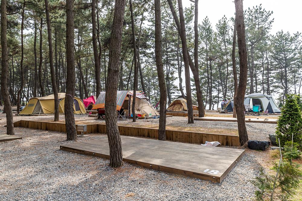 충남 서천 장항오토캠핑장 소개