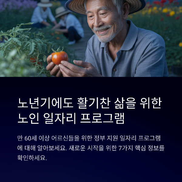 노인 일자리 신청 지원제도 총정리