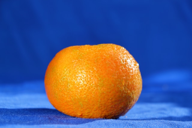 제주 노지 감귤 특징 효능 보관법 총정리