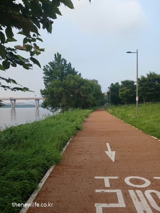 식후 졸린 이유 예방에 도움이 되는 걷기 산책로