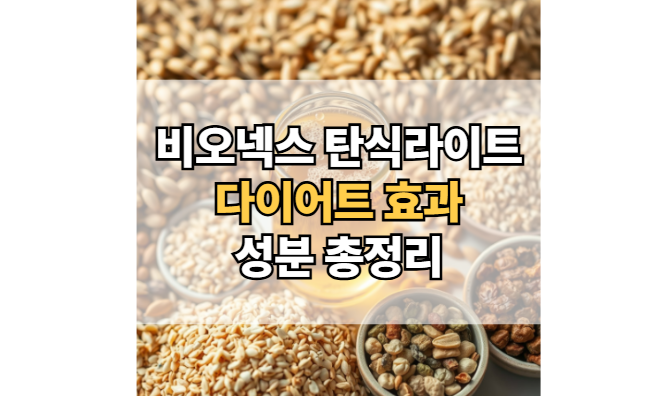 비오넥스-탄식라이트-다이어트-효과-성분