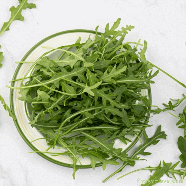 피부미용에 효과적인 샐러드 채소 루꼴라