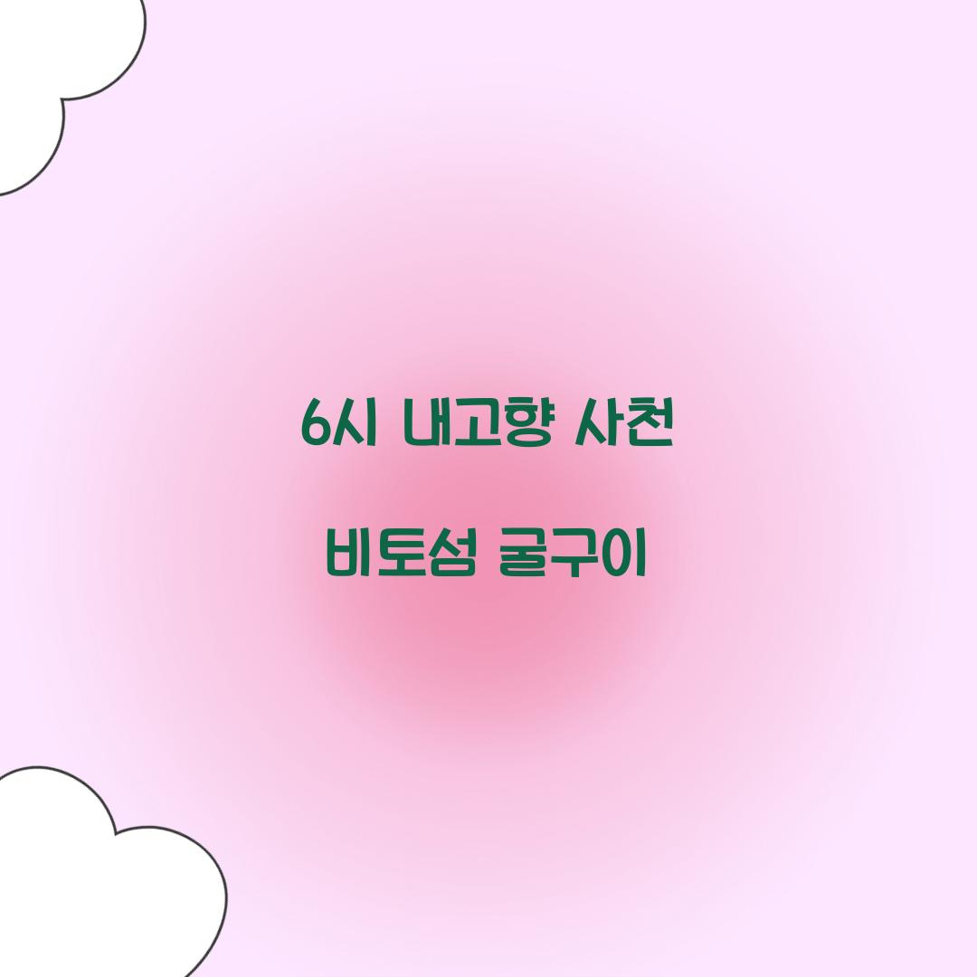 6시 내고향 사천 비토섬 굴구이