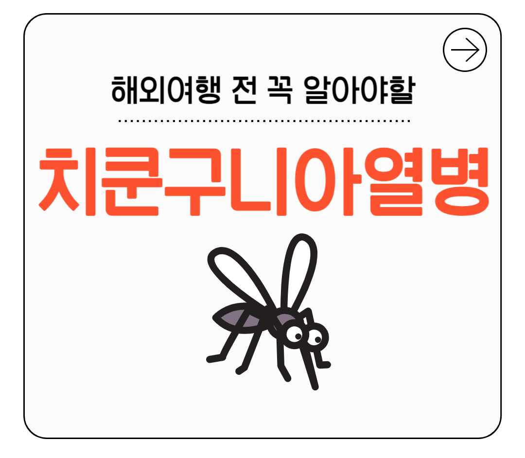 해외여행 치쿤구니아 열병