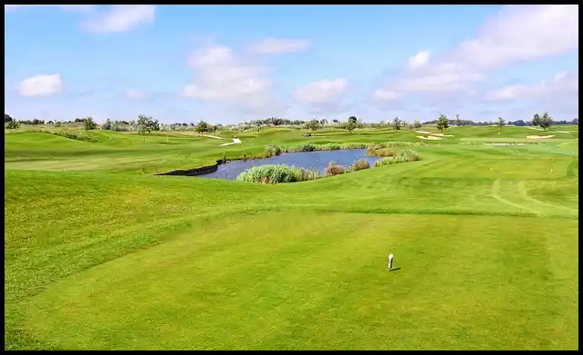 파크골프 용어 정리 (+ 해설 )