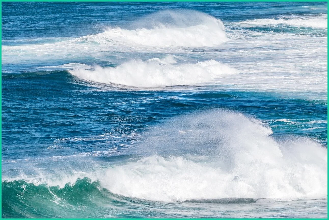 신한은행 예금금리