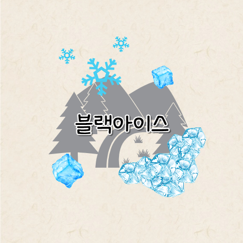 블랙아이스