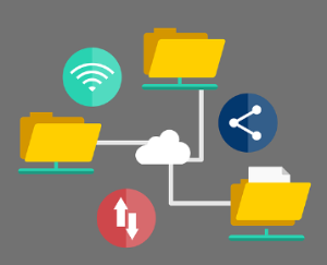 29