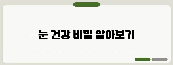 눈이 침침해지는 이유 한번 정확하게 알아보도록 하죠