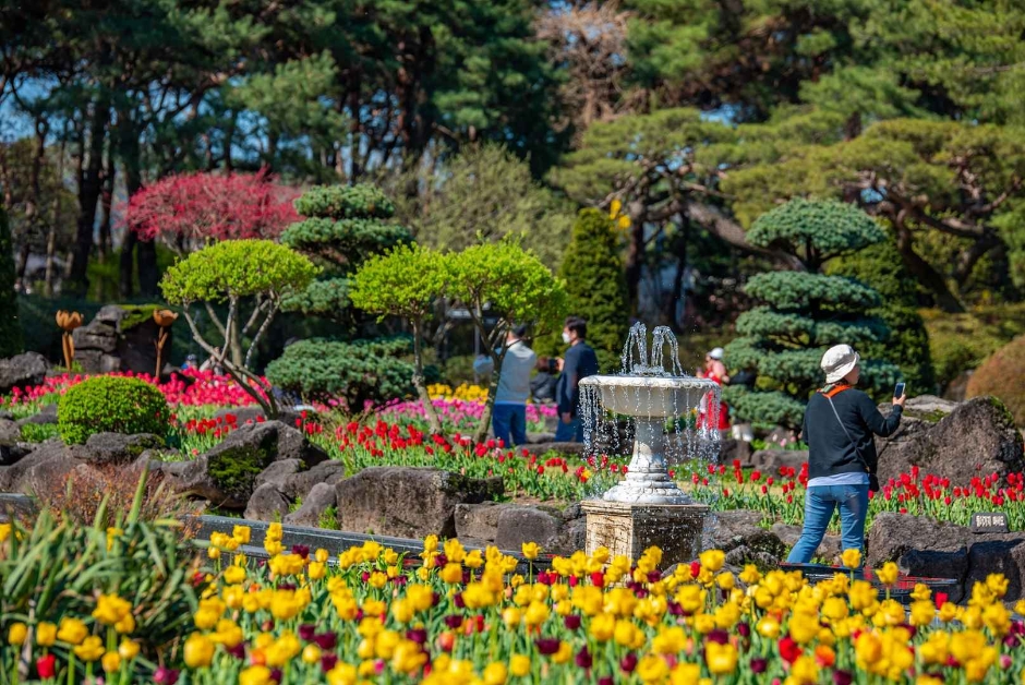 파주 벽초지수목원 :입장료, 가는길, 운영시간, 예약 총정리