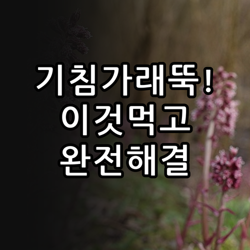 환절기 기침 가래 완화에 좋은 식재료..