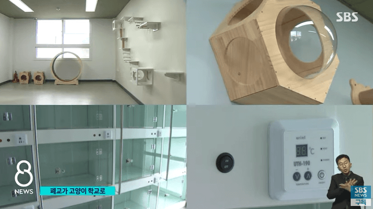 통영 고양이 학교 시설