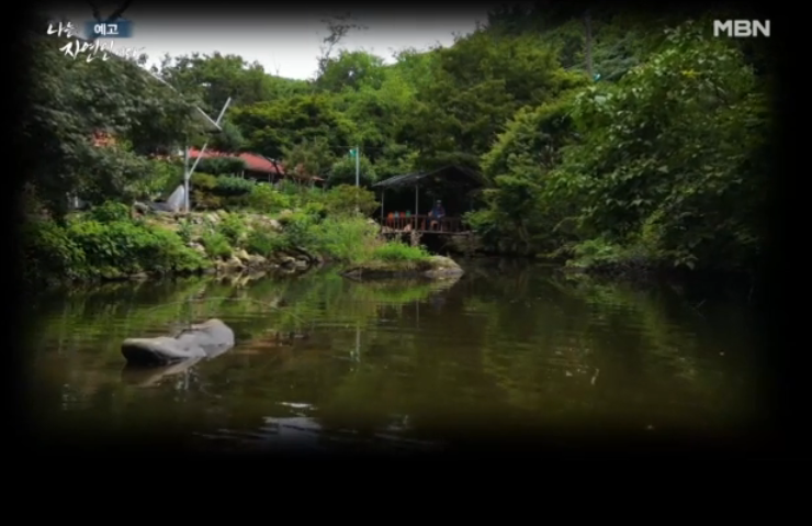 자연인시크릿가든