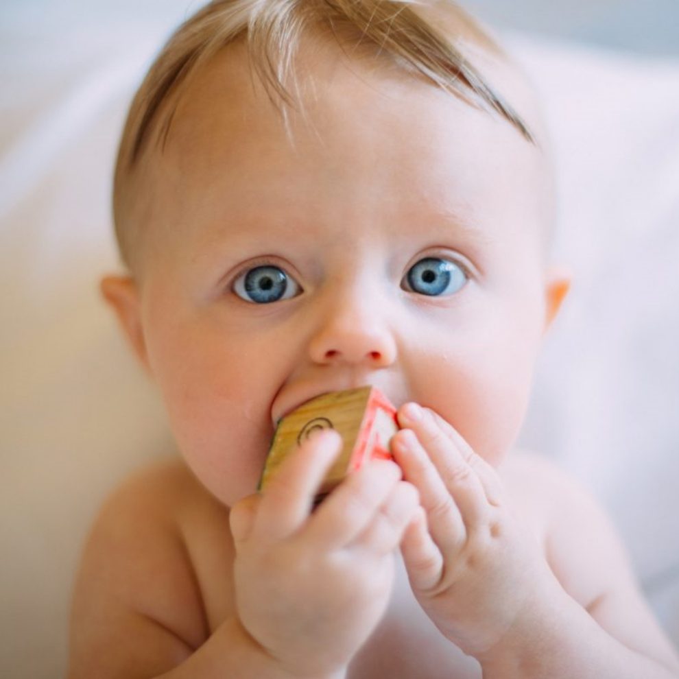 출생신고서 열람 