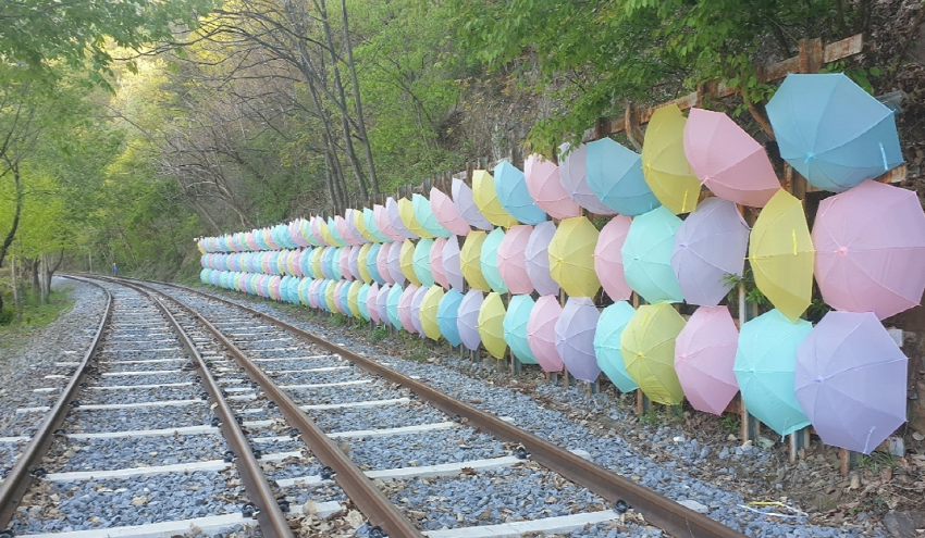 섬진강 레일바이크