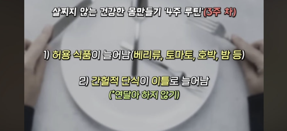 스위치온 다이어트 원리와 효과 방법 식단표 부작용 4주 프로그램 운동법 박용우 다이어트 효과 다이어트 팁