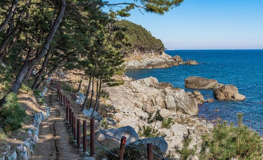 해파랑길 21코스