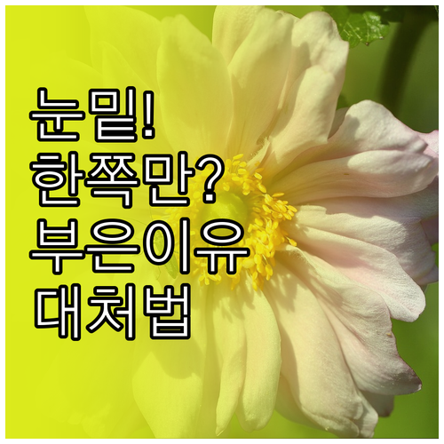 수술 후 눈밑 한쪽만 부은 이유와 조..