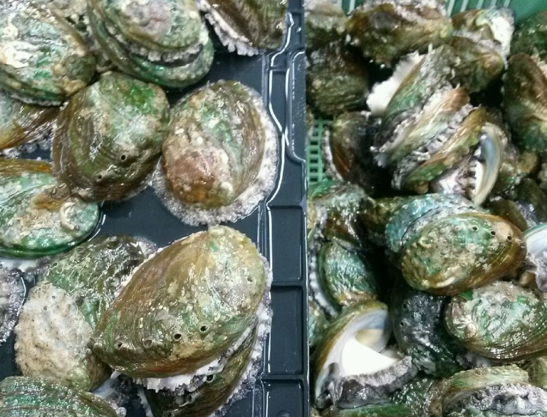 전남 완도 전복 주문 방법