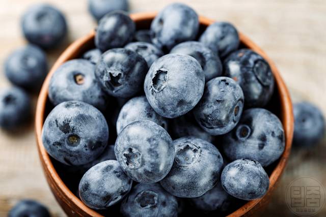 백내장 좋은 음식 백내장음식 빌베리