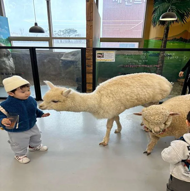 수달앤쥬 동물원