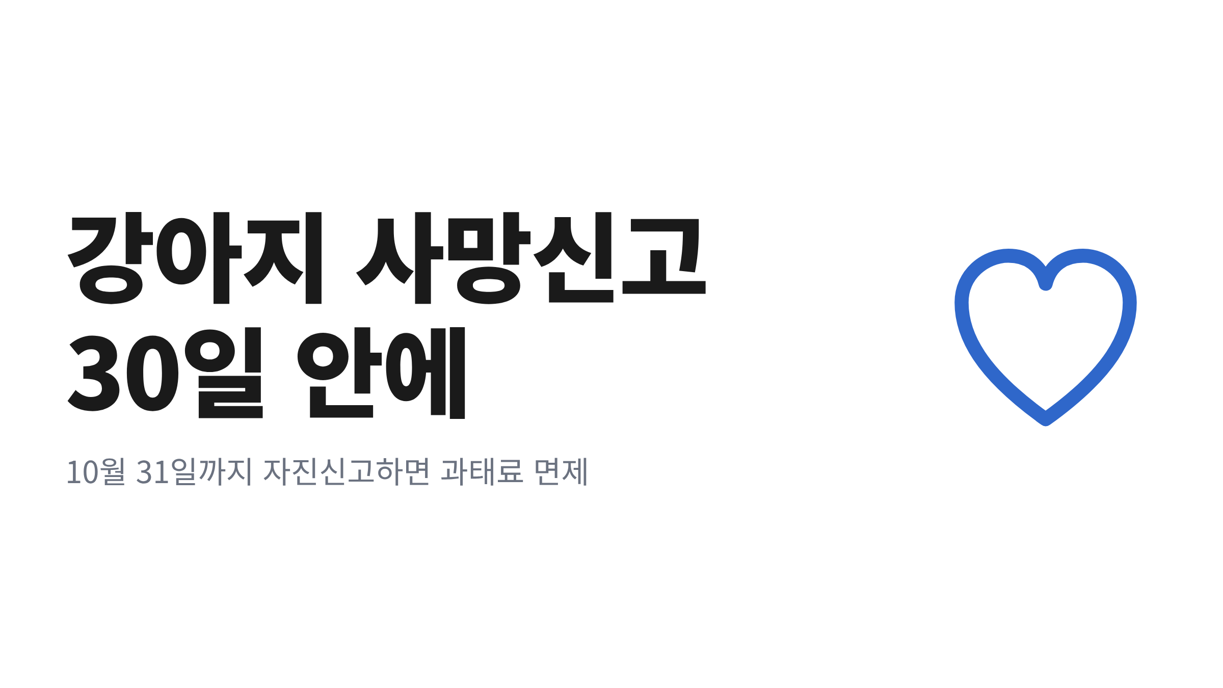 무지개다리를 건넌 반려견을 위해 동물등록 사망신고를 준비하는 보호자의 모습