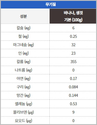 바나나 성분