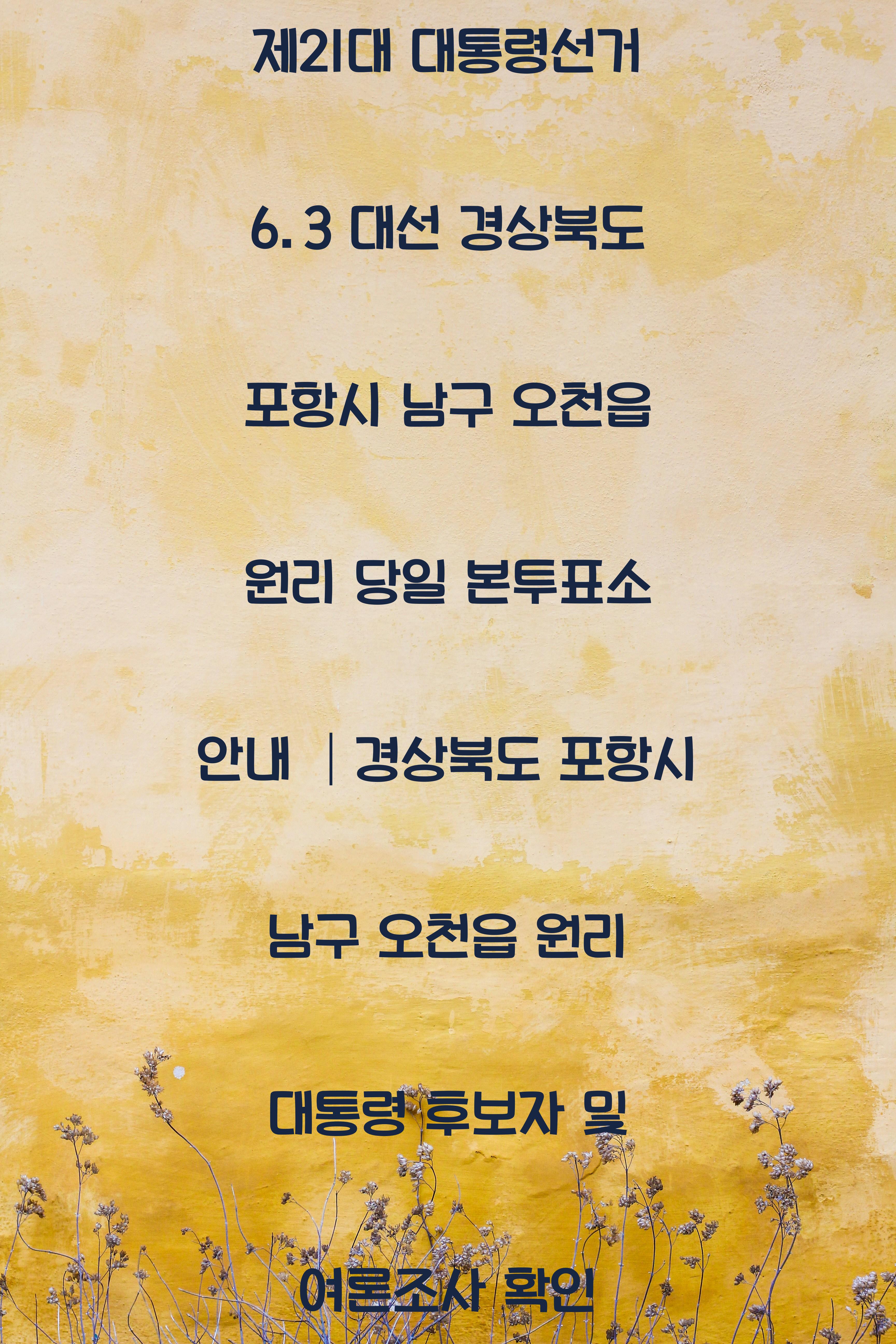 제21대 대통령선거 6.3 대선 경상북도 포항시 남구 오천읍 원리 당일 본투표소 안내 │경상북도 포항시 남구 오천읍 원리 대통령 후보자 및 여론조사 확인