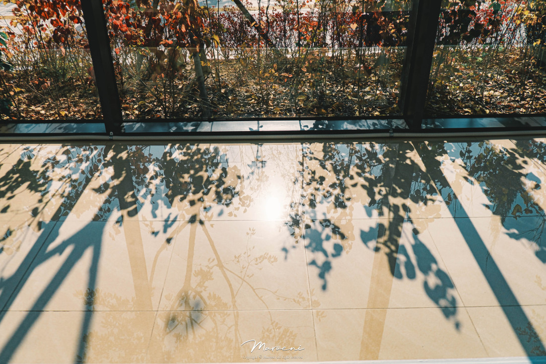 수원일러스트페어