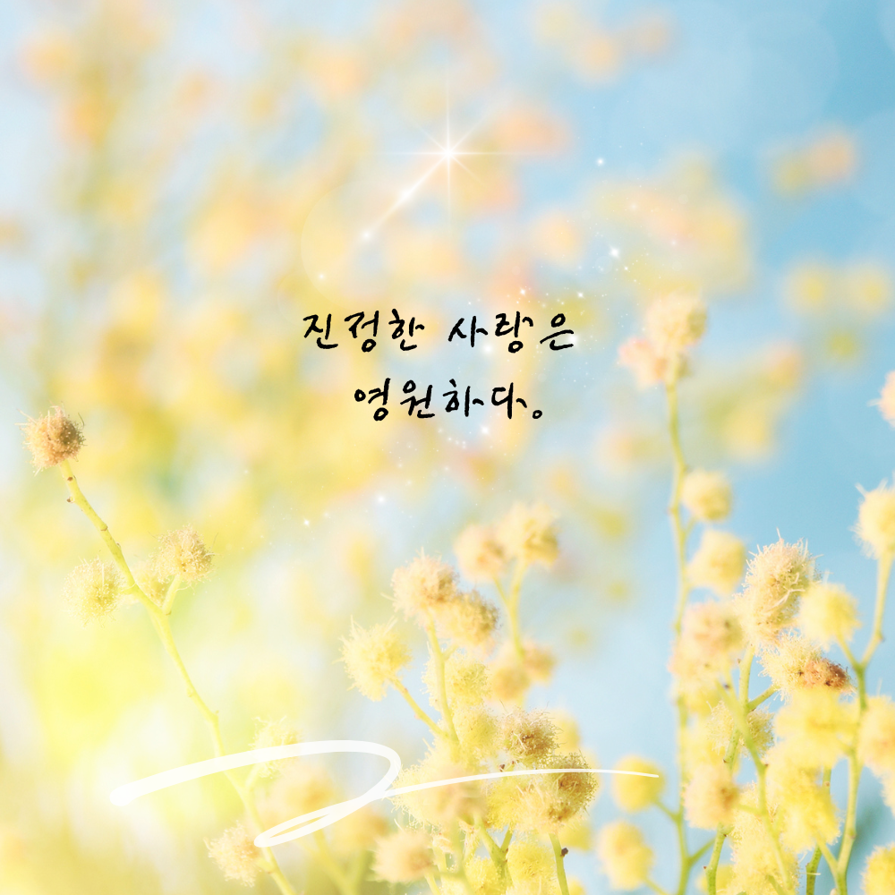 짧고 좋은 사랑 글귀 좋은글 문구 이미지 모음