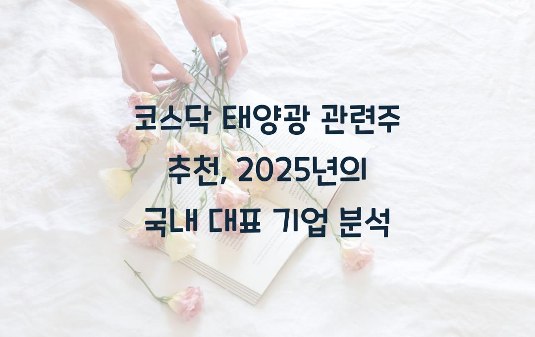 코스닥 태양광 관련주 추천, 국내 대표 기업 분석