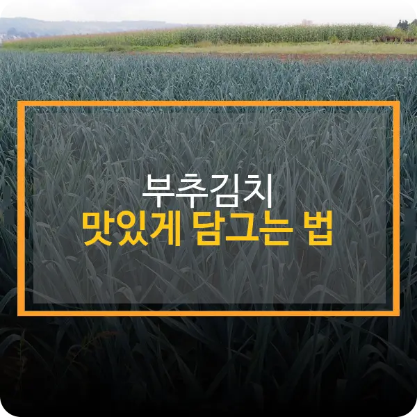 부추김치 맛있게 담그는 법