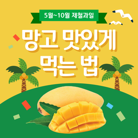 망고먹는법