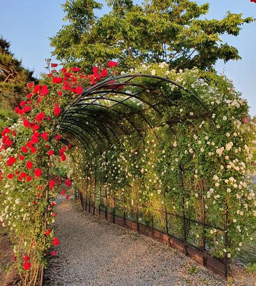 강진천변생태호수공원