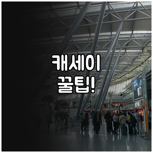 캐세이퍼시픽 온라인 체크인 앱 사용 ..