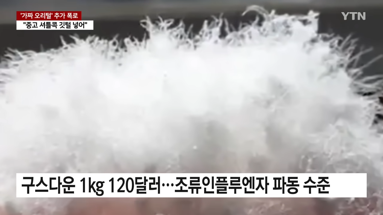 중국산 패딩 충격 진실 가짜 오리털 제조 영상 중고 셔틀콕