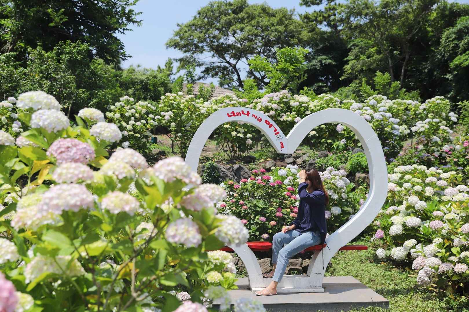 제주민속촌 수국축제