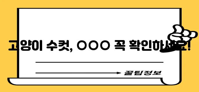 고양이 수컷 중성화 수술 발정부터 건강까지 꼭 알아두세요!