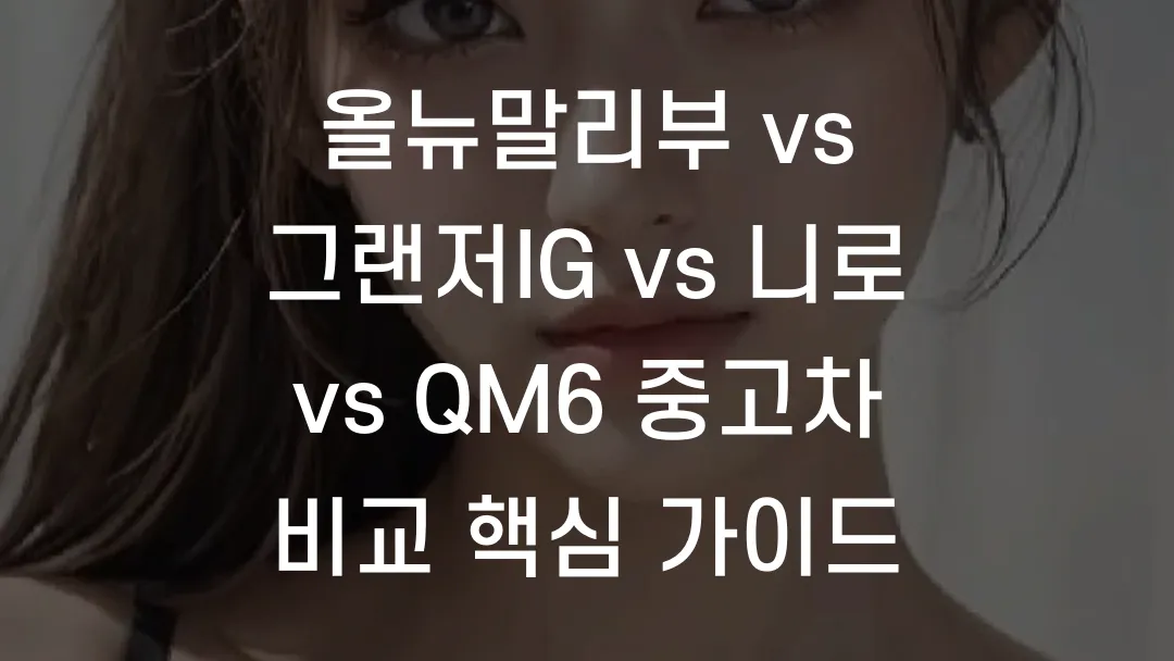 올뉴말리부 vs 그랜저IG vs 니로 vs QM6 중고차 비교 핵심 가이드