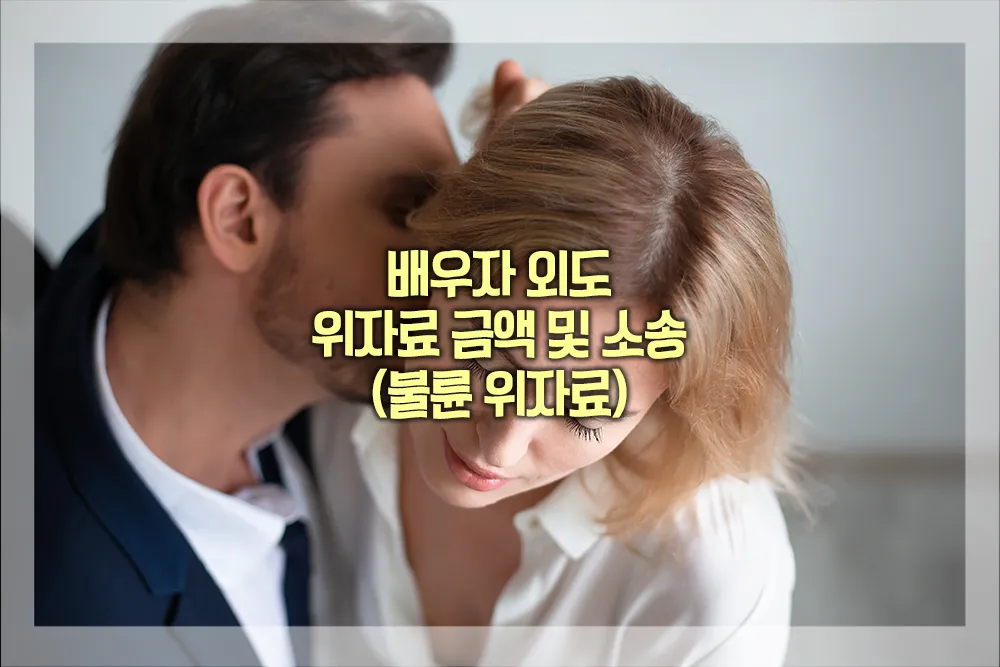 배우자 외도 위자료 금액 소송