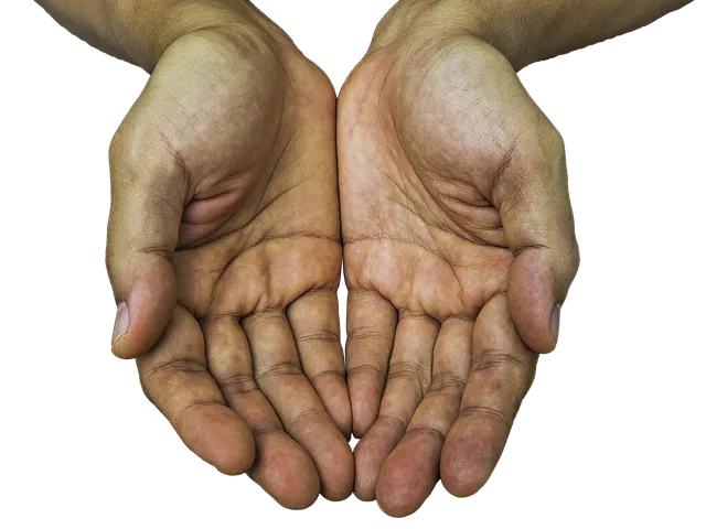 2025년 폐가전제품 무상 방문 수거 서비스 신청 및 대형폐기물 무료수거 처리방법 총정리로 이용방법_9